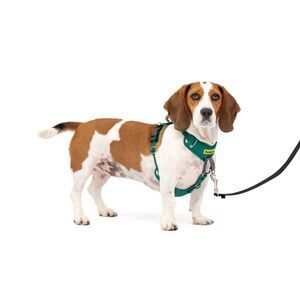 Open Box - PetSafe -  Comfort No Pull Adjustable Dog Harness - S Green